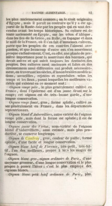 Archives mentionnants oignon de cambrai