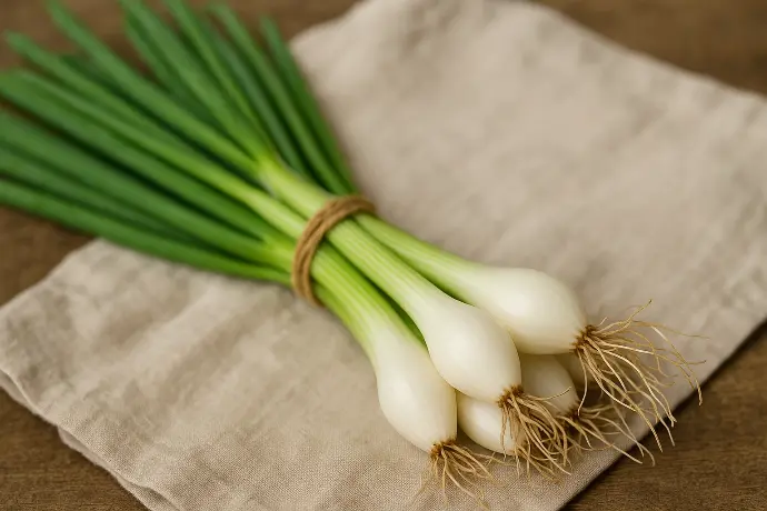 botte d&#39;oignon de cambrai